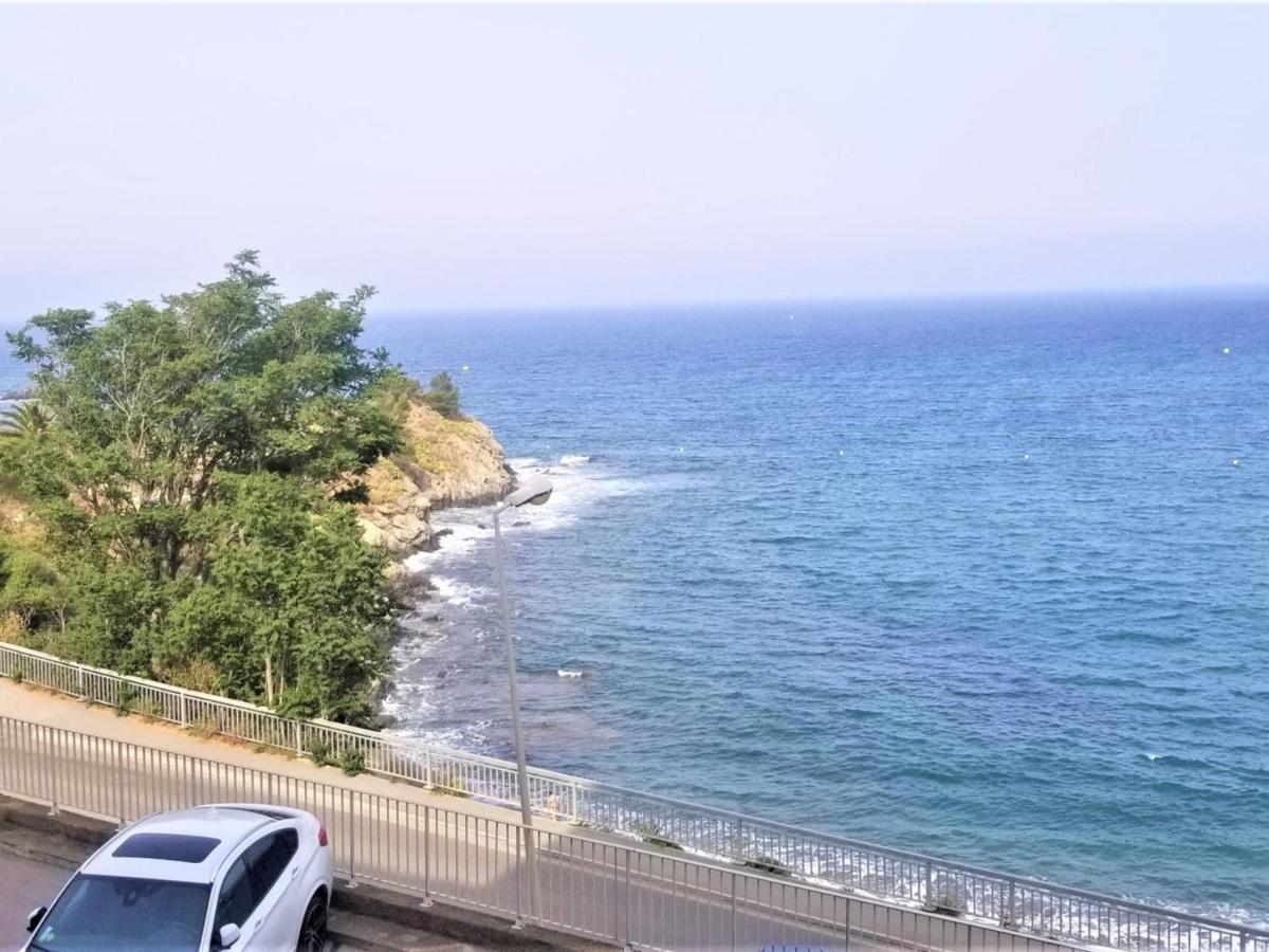 Appartement T3 A Banyuls, Climatise, Proche Plage - Fr-1-309-281 Eksteriør bilde